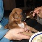 comiendo su papilla jeje...